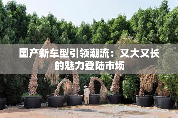 国产新车型引领潮流：又大又长的魅力登陆市场