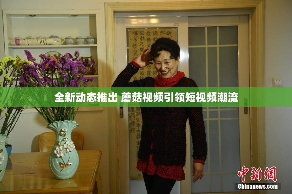 全新动态推出 蘑菇视频引领短视频潮流