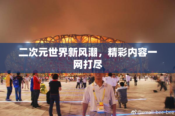二次元世界新风潮，精彩内容一网打尽