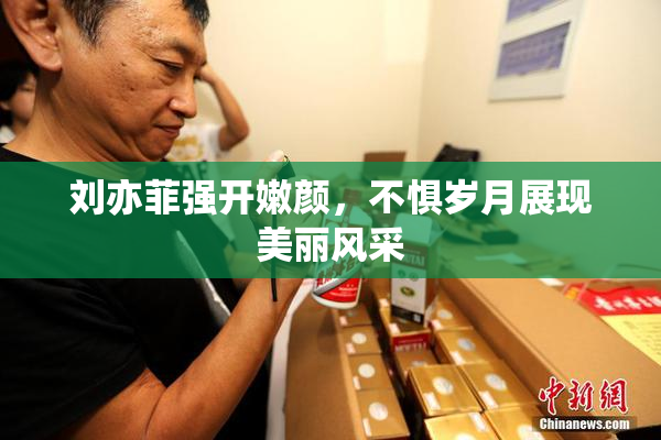 刘亦菲强开嫩颜，不惧岁月展现美丽风采