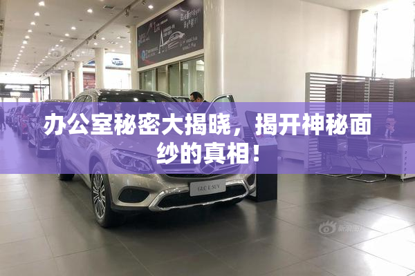 办公室秘密大揭晓，揭开神秘面纱的真相！