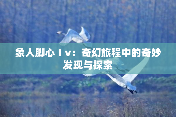 象人脚心Ⅰv：奇幻旅程中的奇妙发现与探索