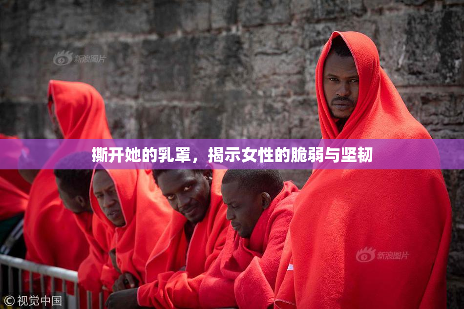 撕开她的乳罩，揭示女性的脆弱与坚韧