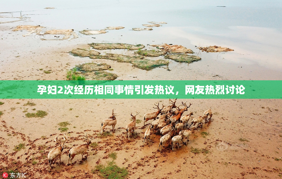 孕妇2次经历相同事情引发热议，网友热烈讨论