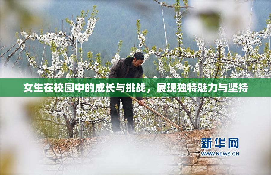 女生在校园中的成长与挑战，展现独特魅力与坚持
