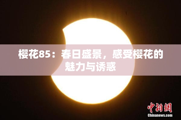 樱花85：春日盛景，感受樱花的魅力与诱惑