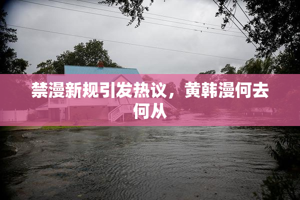 禁漫新规引发热议，黄韩漫何去何从