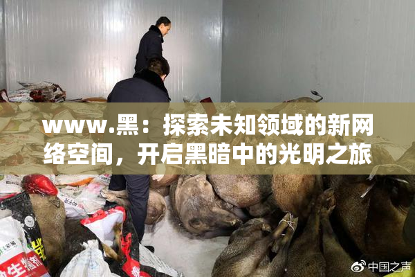 www.黑：探索未知领域的新网络空间，开启黑暗中的光明之旅