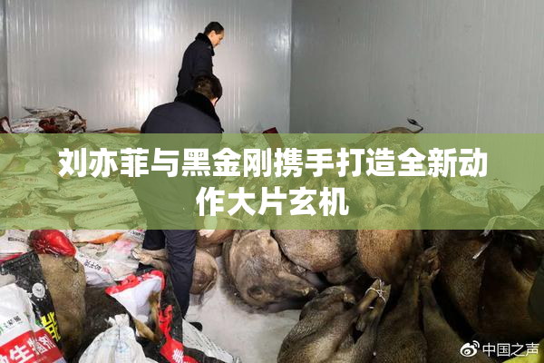 刘亦菲与黑金刚携手打造全新动作大片玄机