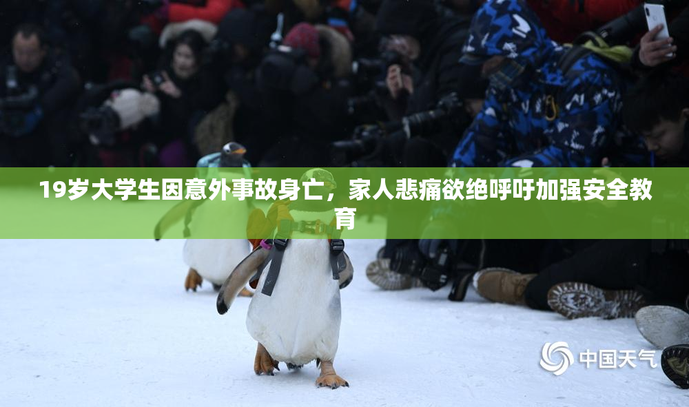 19岁大学生因意外事故身亡，家人悲痛欲绝呼吁加强安全教育