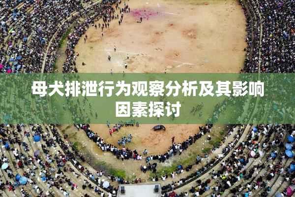 母犬排泄行为观察分析及其影响因素探讨