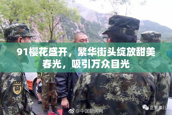 91樱花盛开，繁华街头绽放甜美春光，吸引万众目光
