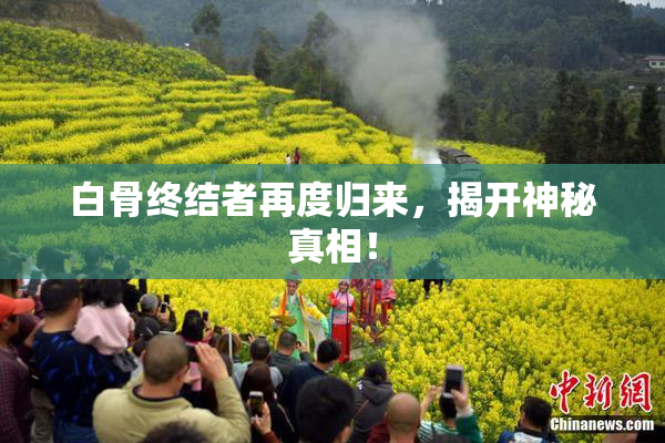 白骨终结者再度归来，揭开神秘真相！