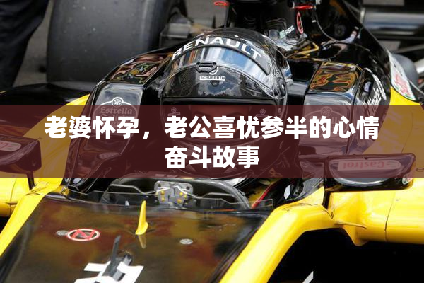 老婆怀孕，老公喜忧参半的心情奋斗故事