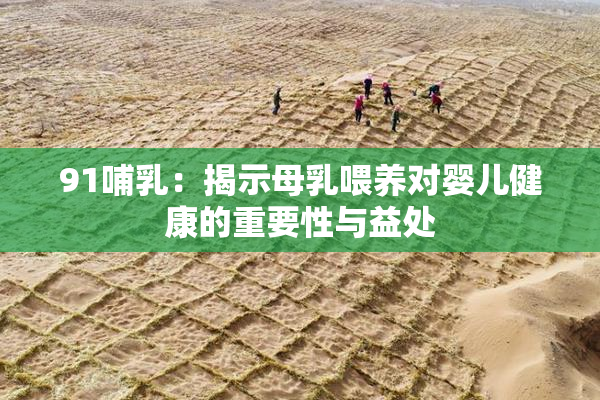 91哺乳：揭示母乳喂养对婴儿健康的重要性与益处