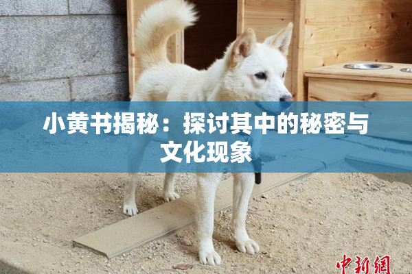 小黄书揭秘：探讨其中的秘密与文化现象