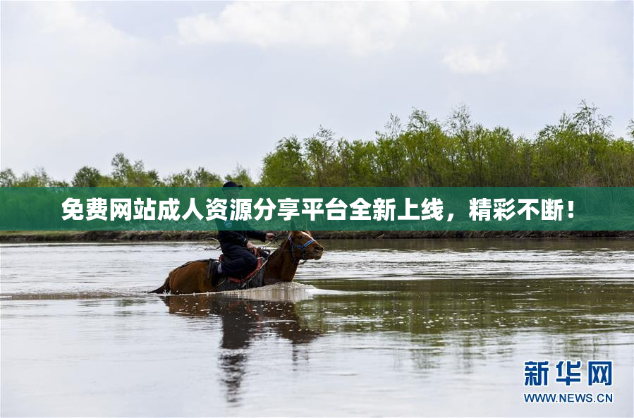 免费网站成人资源分享平台全新上线，精彩不断！