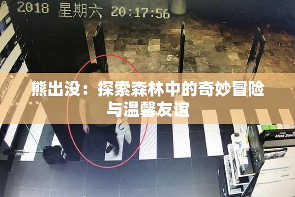 熊出没：探索森林中的奇妙冒险与温馨友谊