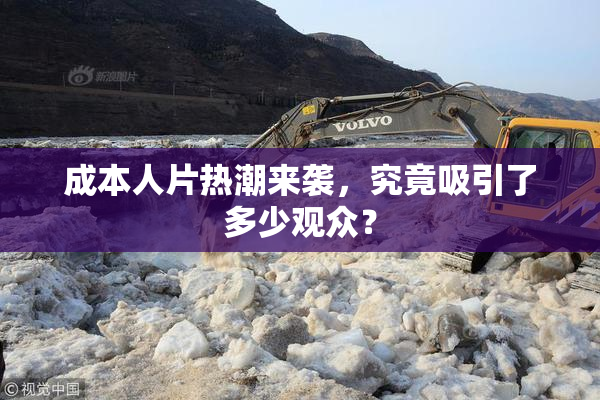成本人片热潮来袭，究竟吸引了多少观众？