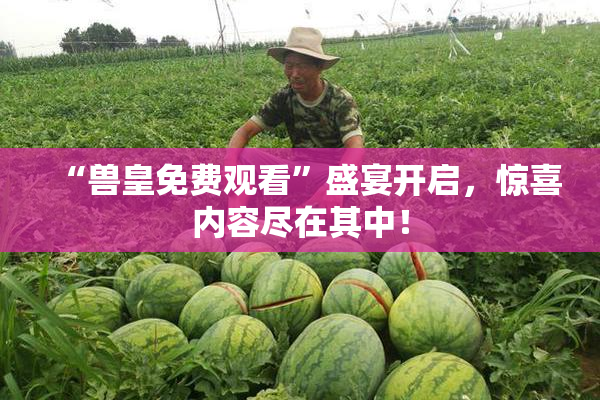 “兽皇免费观看”盛宴开启，惊喜内容尽在其中！