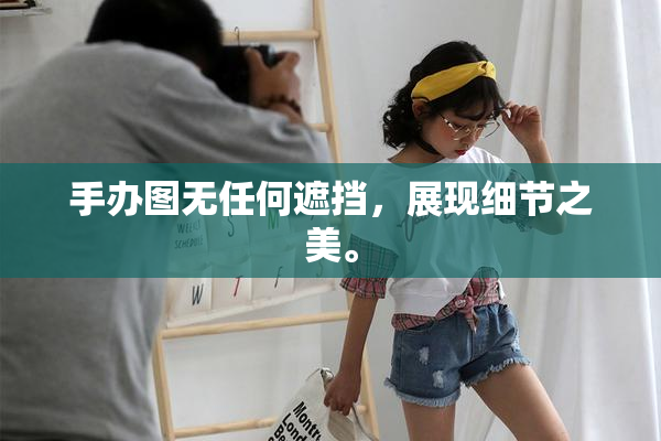 手办图无任何遮挡，展现细节之美。