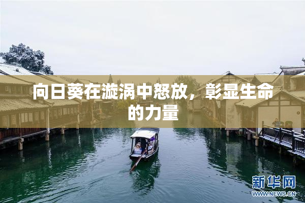 向日葵在漩涡中怒放，彰显生命的力量