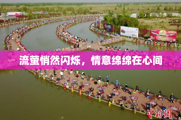 流萤悄然闪烁，情意绵绵在心间
