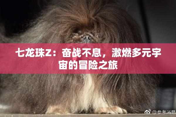 七龙珠Z：奋战不息，激燃多元宇宙的冒险之旅
