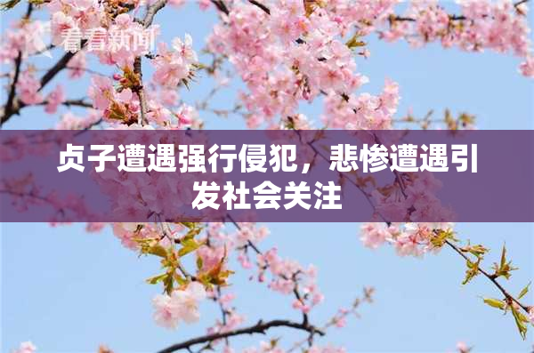 贞子遭遇强行侵犯，悲惨遭遇引发社会关注