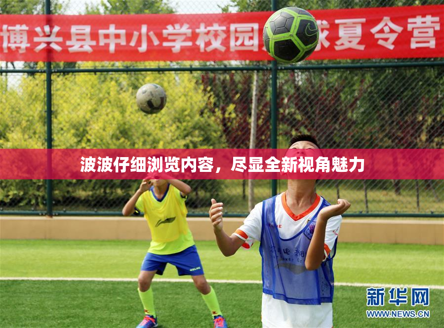 波波仔细浏览内容，尽显全新视角魅力