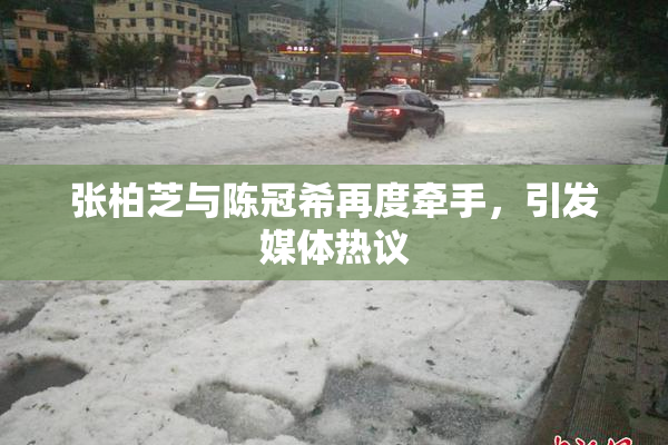 张柏芝与陈冠希再度牵手，引发媒体热议