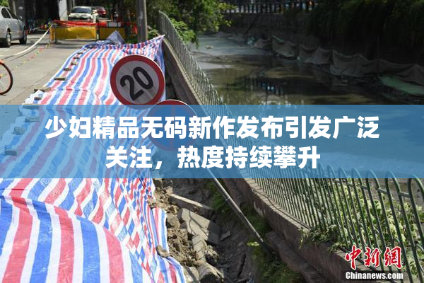 少妇精品无码新作发布引发广泛关注，热度持续攀升