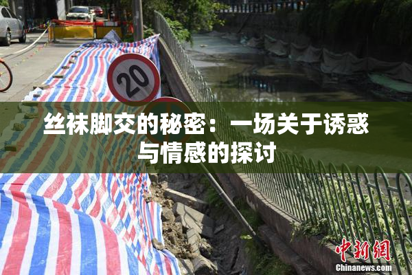 丝袜脚交的秘密：一场关于诱惑与情感的探讨