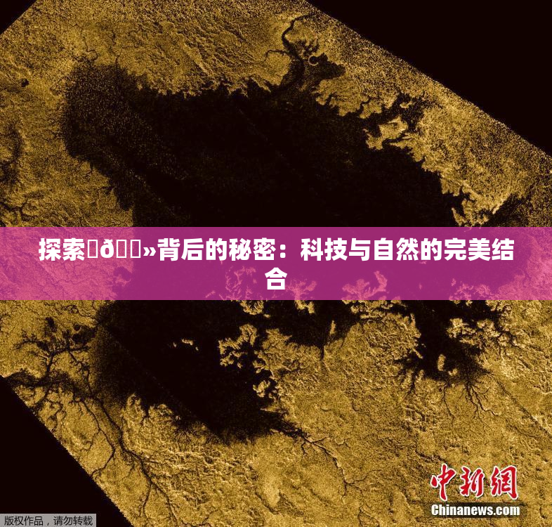 探索‌🐻背后的秘密：科技与自然的完美结合