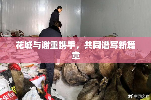 花城与谢重携手，共同谱写新篇章