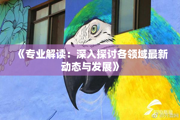 《专业解读：深入探讨各领域最新动态与发展》