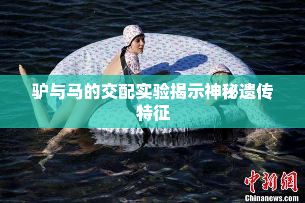 驴与马的交配实验揭示神秘遗传特征