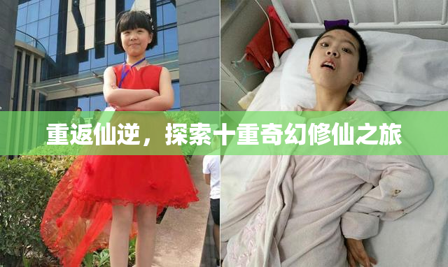 重返仙逆，探索十重奇幻修仙之旅
