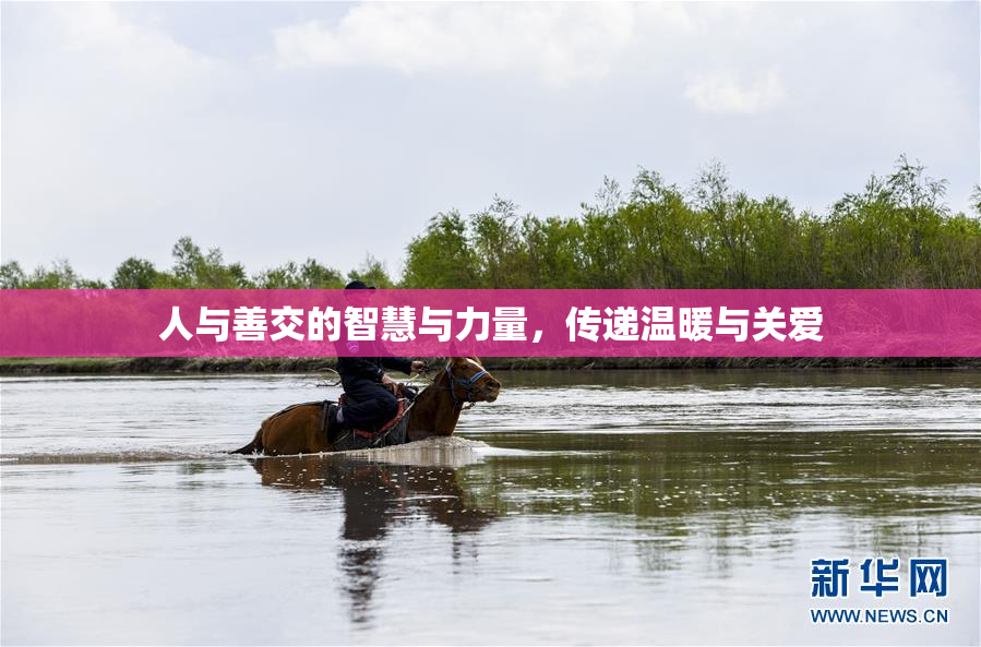 人与善交的智慧与力量，传递温暖与关爱
