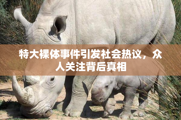 特大裸体事件引发社会热议，众人关注背后真相