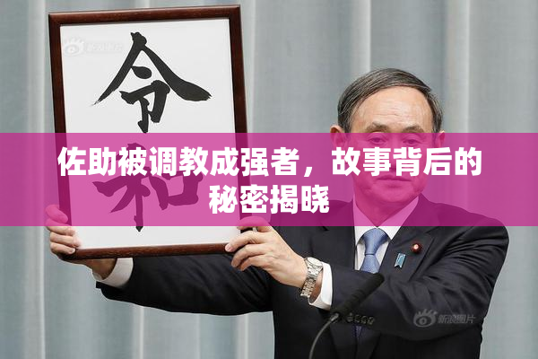 佐助被调教成强者，故事背后的秘密揭晓