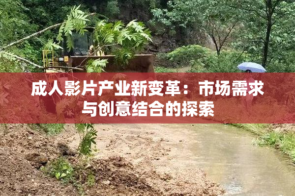 成人影片产业新变革：市场需求与创意结合的探索
