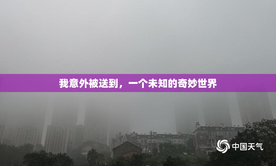 我意外被送到，一个未知的奇妙世界