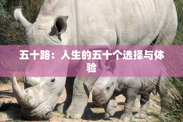 五十路：人生的五十个选择与体验