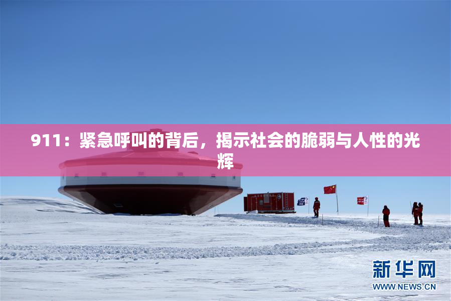 911：紧急呼叫的背后，揭示社会的脆弱与人性的光辉