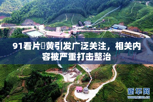 91看片婬黄引发广泛关注，相关内容被严重打击整治