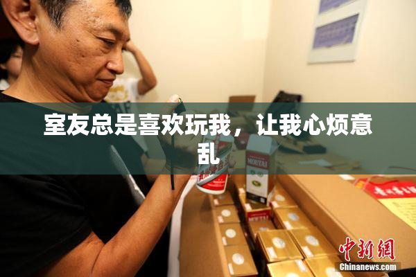 室友总是喜欢玩我，让我心烦意乱