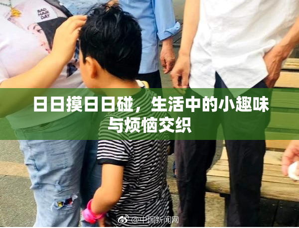 日日摸日日碰，生活中的小趣味与烦恼交织