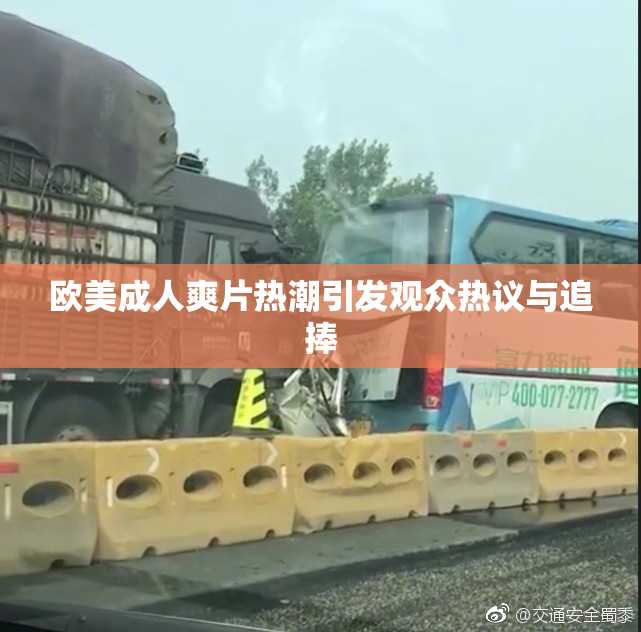 欧美成人爽片热潮引发观众热议与追捧