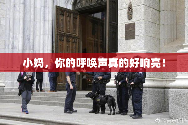 小妈，你的呼唤声真的好响亮！